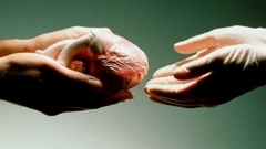 Русские фильмы и сериалы про донорство