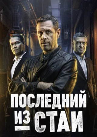 Последний из стаи