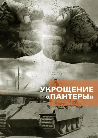 Укрощение "Пантеры"